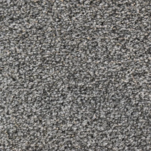 Flooring² Spirited - Steel Summit — Broadloom Carpet flooring selection with LeviArs Design & Remodeling