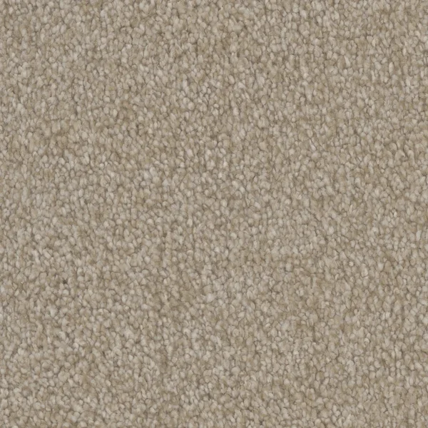 Flooring² Timeless Wonder - Admire — Broadloom Carpet flooring selection with LeviArs Design & Remodeling