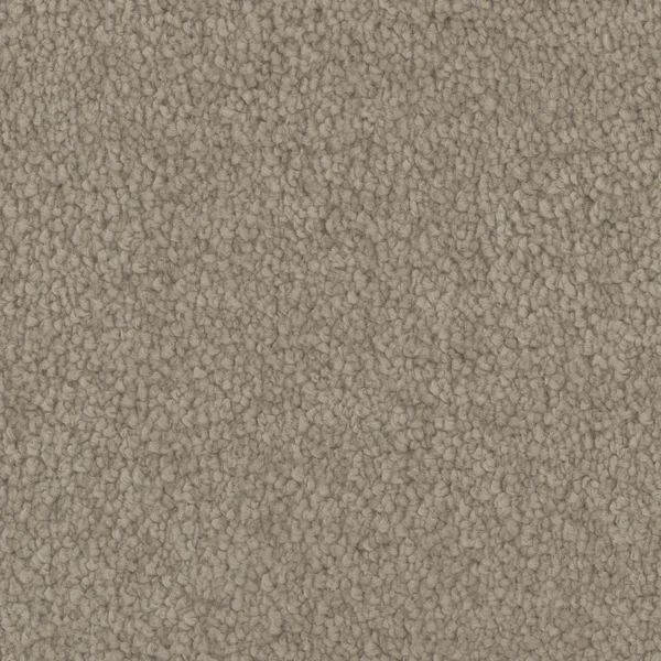 Flooring² Timeless Wonder - Bling — Broadloom Carpet flooring selection with LeviArs Design & Remodeling