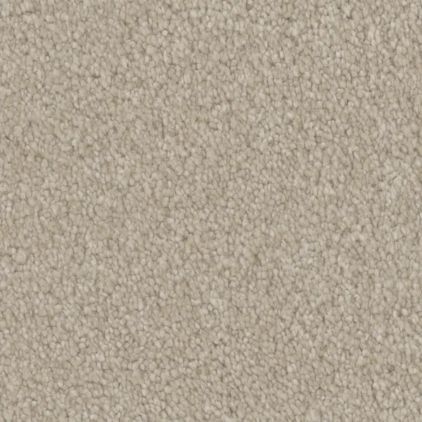 Flooring² Timeless Wonder - Etched — Broadloom Carpet flooring selection with LeviArs Design & Remodeling