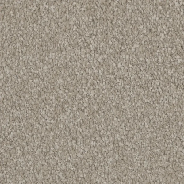 Flooring² Timeless Wonder - Inscribe — Broadloom Carpet flooring selection with LeviArs Design & Remodeling