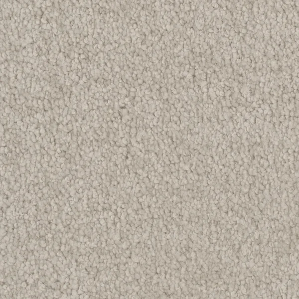 Flooring² Timeless Wonder - Luxurious — Broadloom Carpet flooring selection with LeviArs Design & Remodeling