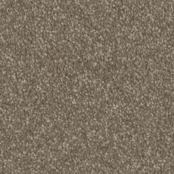Flooring² Timeless Wonder - Revered — Broadloom Carpet flooring selection with LeviArs Design & Remodeling