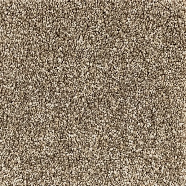 Flooring² Yellowstone - Fawn — Broadloom Carpet flooring selection with LeviArs Design & Remodeling