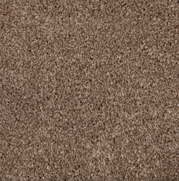 Flooring² Yellowstone - Golden Sand — Broadloom Carpet flooring selection with LeviArs Design & Remodeling