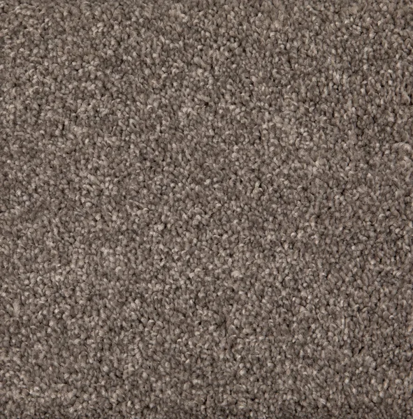 Flooring² Yellowstone - Mountain Mist — Broadloom Carpet flooring selection with LeviArs Design & Remodeling