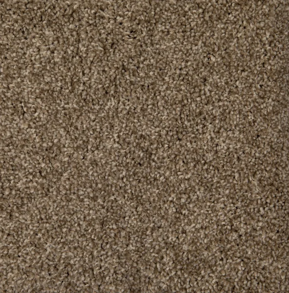 Flooring² Yellowstone - Pebble — Broadloom Carpet flooring selection with LeviArs Design & Remodeling