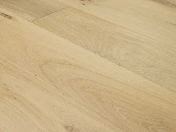 Monarch Plank Dover ASHLEY — flooring selection with LeviArs Design & Remodeling