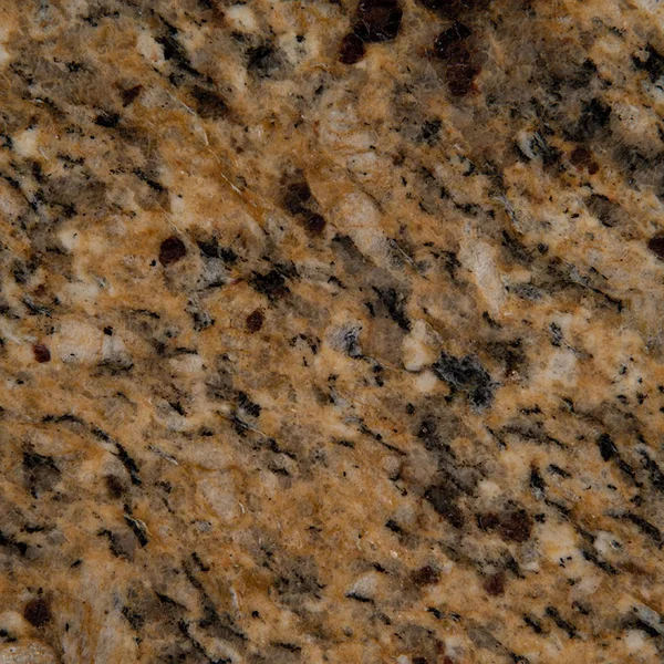 MSI New Venetian Gold — Granite flooring selection with LeviArs Design & Remodeling