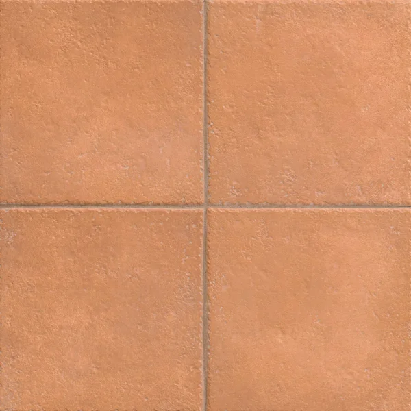 MSI Rosso Antico 10X10 Matte — Porcelain flooring selection with LeviArs Design & Remodeling