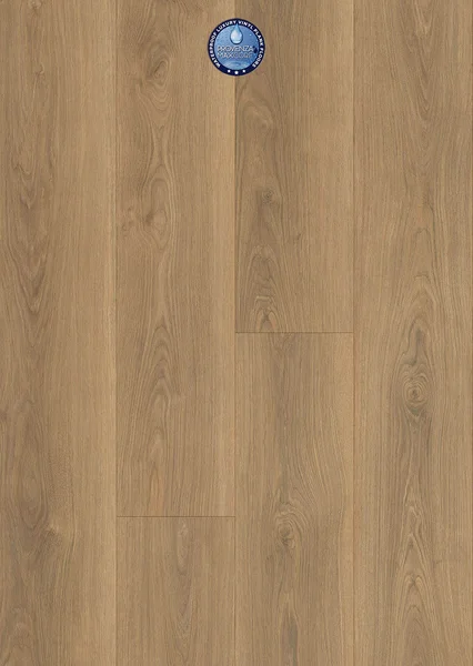Provenza Floors Inspire · PRO5103 — Luxury vinyl plank flooring selection with LeviArs Design & Remodeling