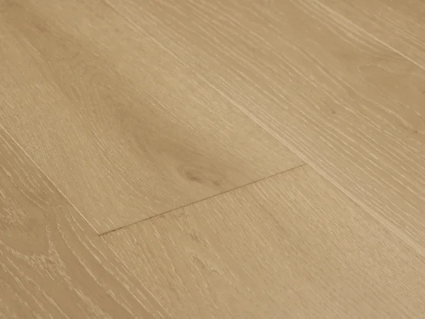 Reward Flooring Provence III EUROPEAN OAK LAURON — Engineered hardwood flooring selection with LeviArs Design & Remodeling