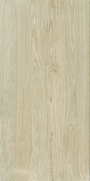 Robbins Flooring Delicate Expressions Morning Light 8" x 48" EXT · RR84400 — Porcelain Tile flooring selection with LeviArs Design & Remodeling