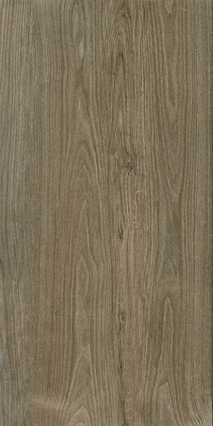 Robbins Flooring Delicate Expressions Tea Time 8" x 48" EXT · RR84404 — Porcelain Tile flooring selection with LeviArs Design & Remodeling