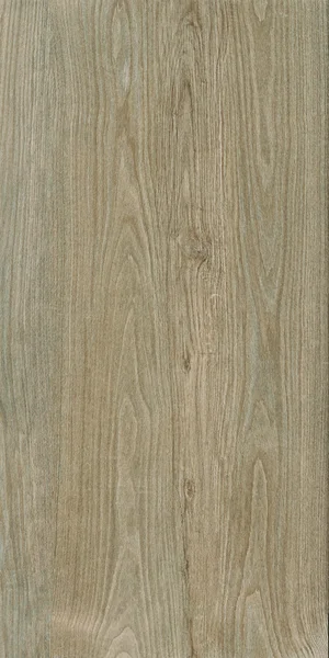 Robbins Flooring Delicate Expressions Welcoming Dawn 8" x 48" EXT · RR84402 — Porcelain Tile flooring selection with LeviArs Design & Remodeling