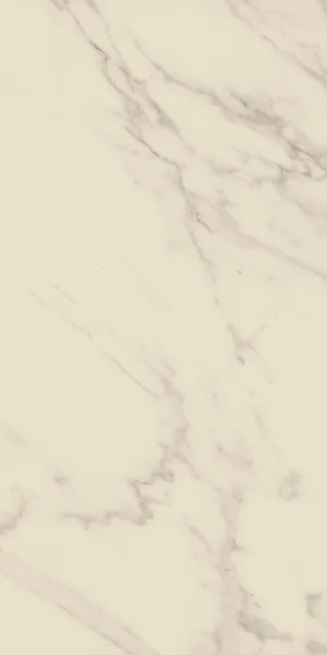 Robbins Flooring Entrée Classic Marble 12" x 24" UPS · WB12408 — Porcelain Tile flooring selection with LeviArs Design & Remodeling