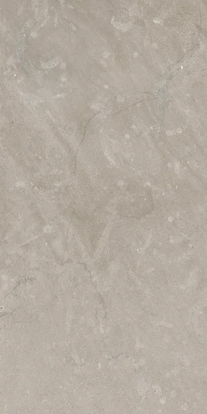 Robbins Flooring Lisbon Impressions Castelo Fog 12" x 24" UPS · PT22453 — Porcelain Tile flooring selection with LeviArs Design & Remodeling