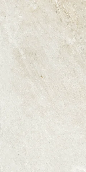 Robbins Flooring Lisbon Impressions Clássica White 12" x 24" UPS · PT22443 — Porcelain Tile flooring selection with LeviArs Design & Remodeling