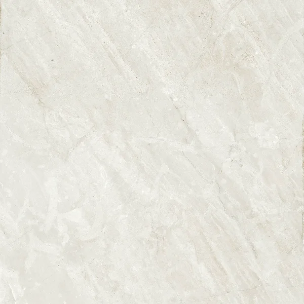 Robbins Flooring Lisbon Impressions Clássica White 24" x 24" EXT · PT22444 — Porcelain Tile flooring selection with LeviArs Design & Remodeling