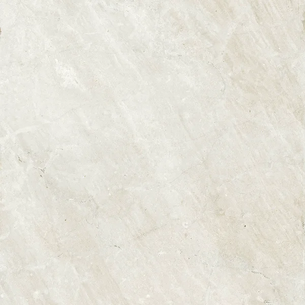 Robbins Flooring Lisbon Impressions Clássica White 24" x 24" UPS · PT24445 — Porcelain Tile flooring selection with LeviArs Design & Remodeling
