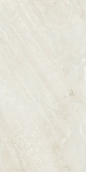 Robbins Flooring Lisbon Impressions Clássica White 24" x 48" UPS · PT12446 — Porcelain Tile flooring selection with LeviArs Design & Remodeling