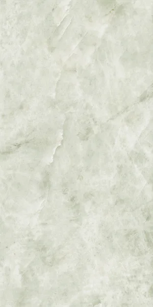 Robbins Flooring Urban Indulgence Cristallo 24" x 48" FST · SC24408 — Porcelain Tile flooring selection with LeviArs Design & Remodeling