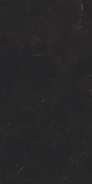 Robbins Flooring Urban Indulgence Diamond Black 24" x 48" FST · SC24415 — Porcelain Tile flooring selection with LeviArs Design & Remodeling