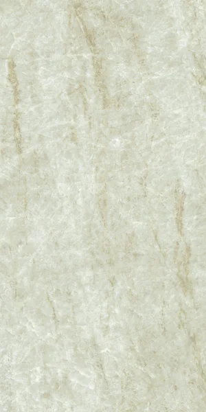 Robbins Flooring Urban Indulgence Taj Mahal 12" x 24" EXT · SC12404 — Porcelain Tile flooring selection with LeviArs Design & Remodeling