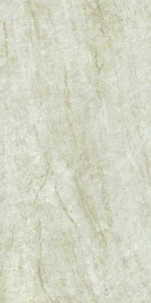 Robbins Flooring Urban Indulgence Taj Mahal 24" x 48" FST · SC24405 — Porcelain Tile flooring selection with LeviArs Design & Remodeling