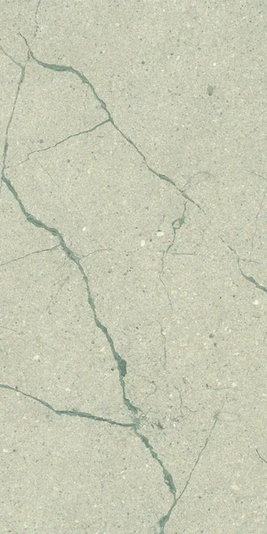 Robbins Flooring Urban Indulgence Zecevo 12" x 24" EXT · SC12401 — Porcelain Tile flooring selection with LeviArs Design & Remodeling