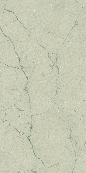 Robbins Flooring Urban Indulgence Zecevo 24" x 48" FST · SC24402 — Porcelain Tile flooring selection with LeviArs Design & Remodeling