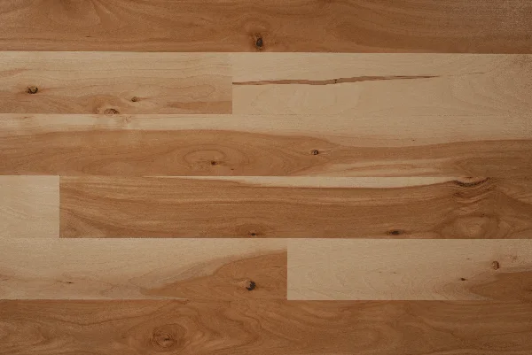 Sheoga Beech Character Unfinished Solid — Solid hardwood flooring selection with LeviArs Design & Remodeling