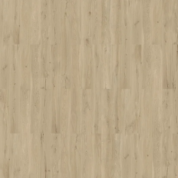 Wicanders Dakota Oak Sand — Cork-based flooring selection with LeviArs Design & Remodeling