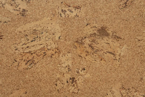 Wicanders Originals Accent — Cork-based flooring selection with LeviArs Design & Remodeling