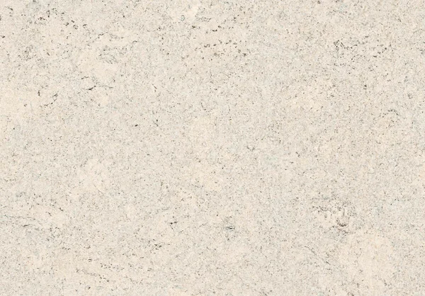 Wicanders Personality Moonlight — Cork-based flooring selection with LeviArs Design & Remodeling
