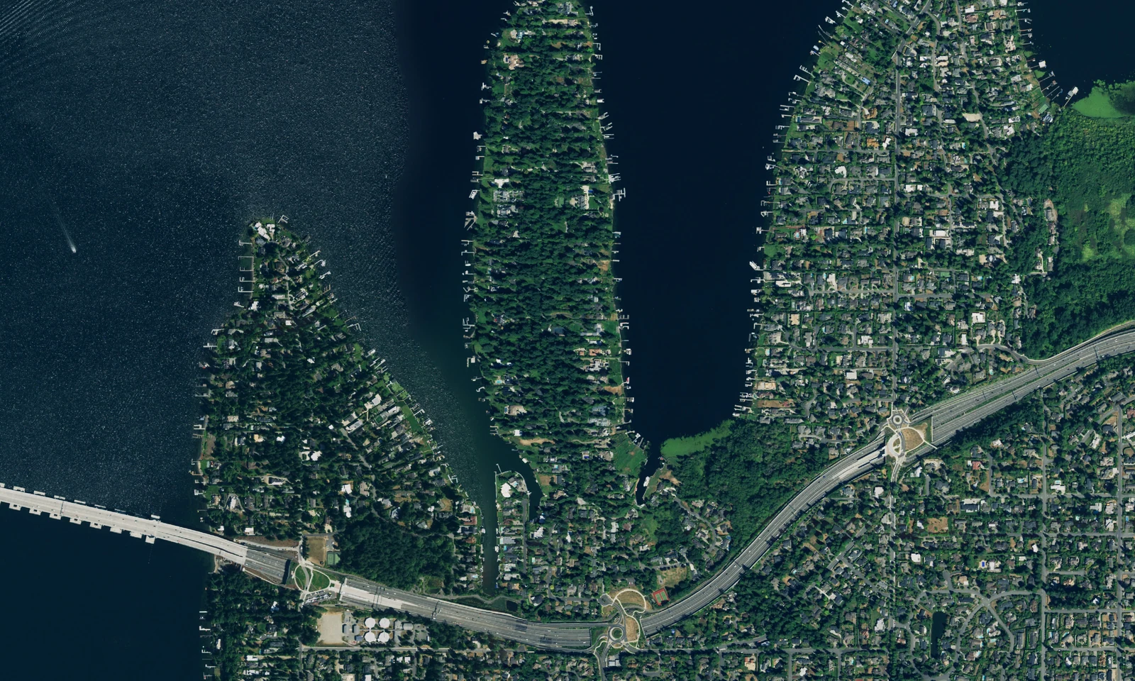The wooded Hunts Point peninsula extending into Lake Washington, photographed from above. LeviArs Design & Remodeling service area.