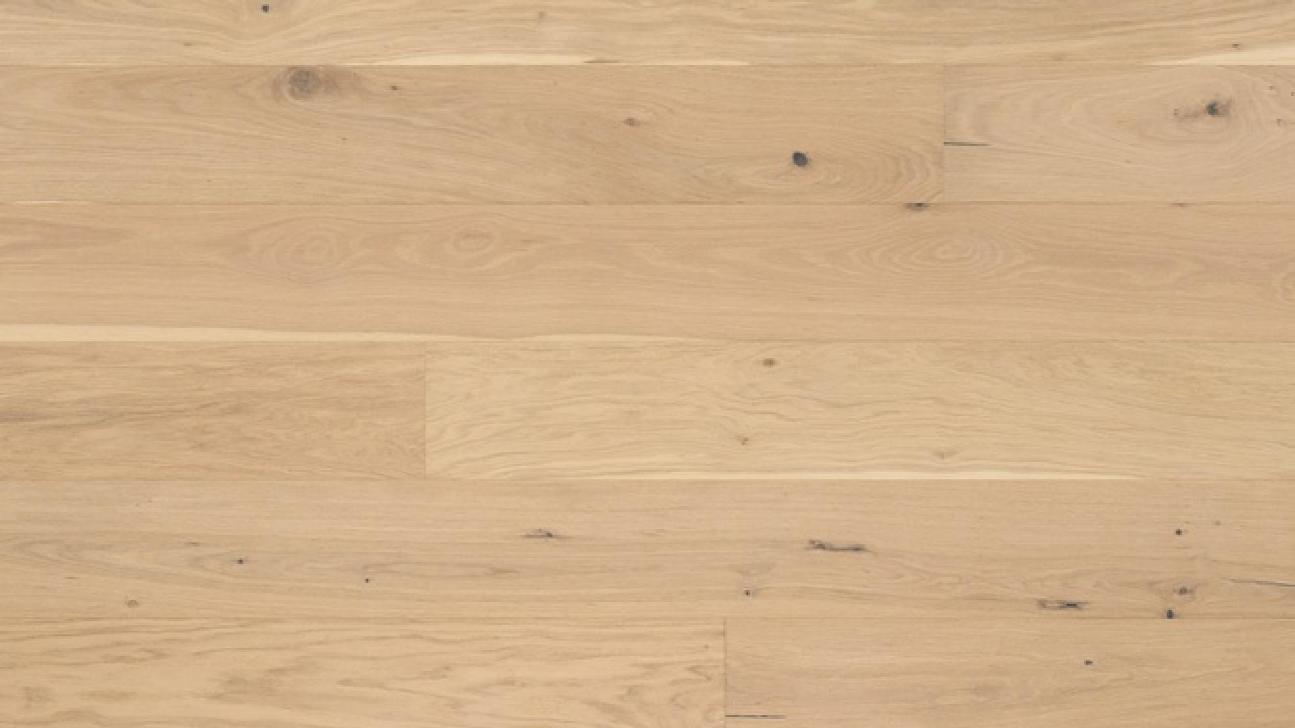 Abode by Kentwood Brushed Oak Anise — Engineered hardwood flooring selection with LeviArs Design & Remodeling