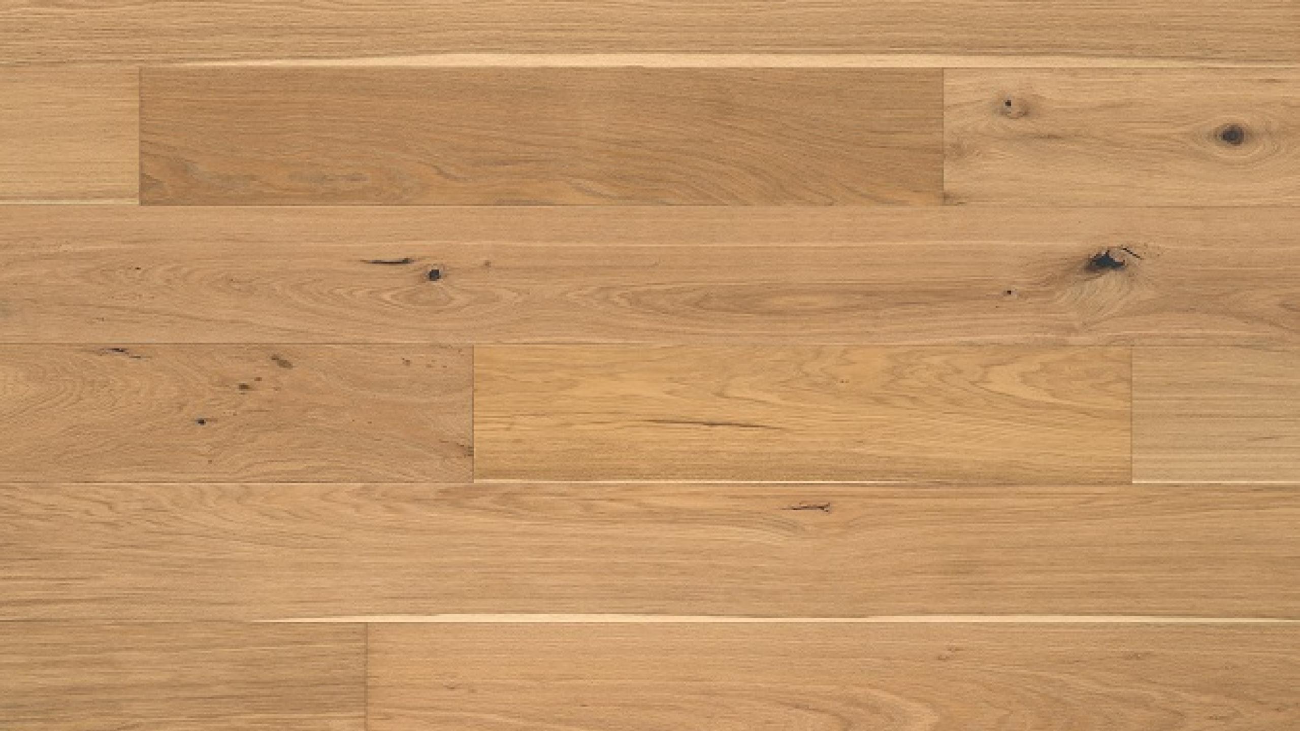 Abode by Kentwood Brushed Oak Macaroon — Engineered hardwood flooring selection with LeviArs Design & Remodeling