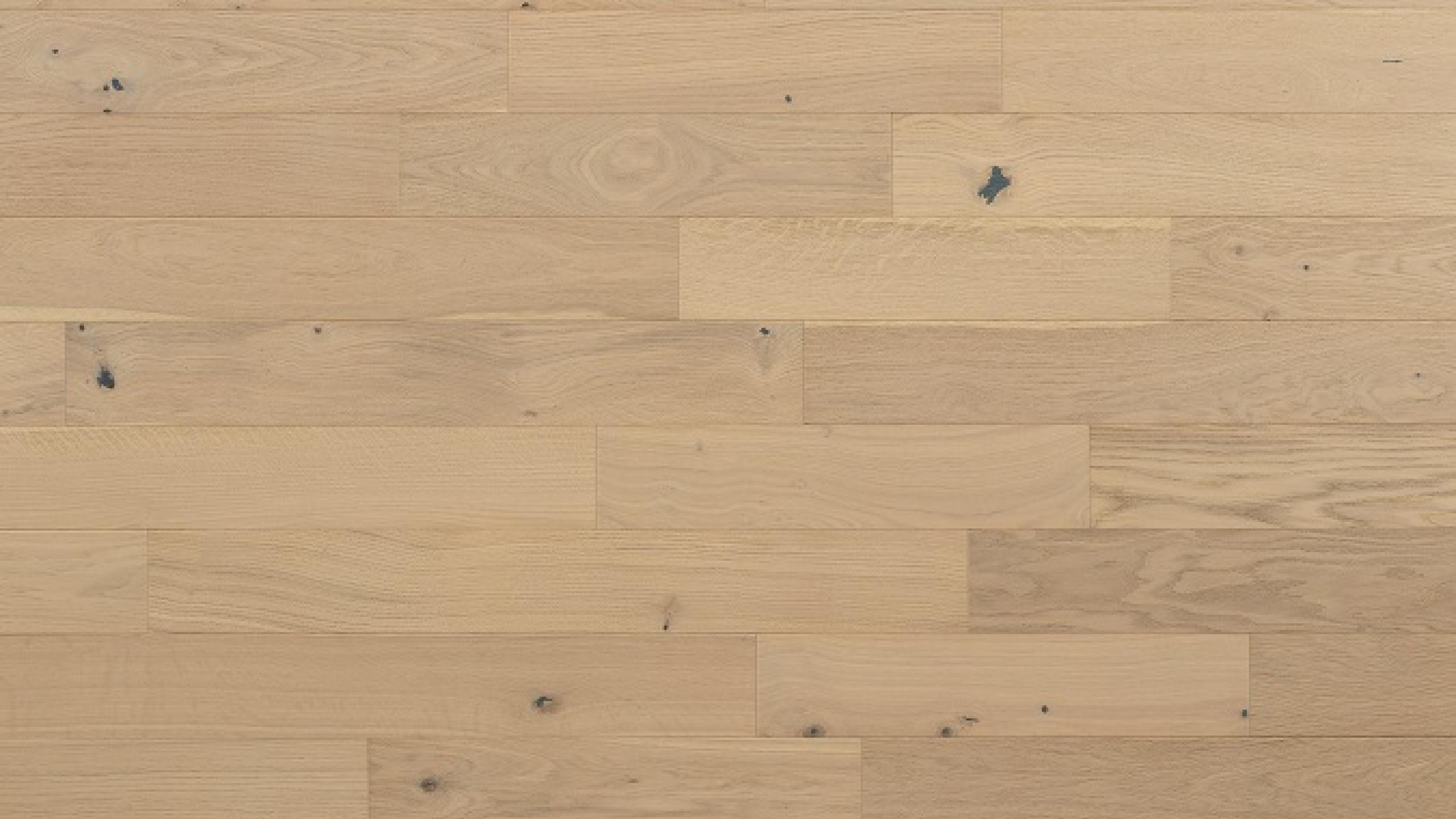 Abode by Kentwood Brushed Oak Primer — Engineered hardwood flooring selection with LeviArs Design & Remodeling