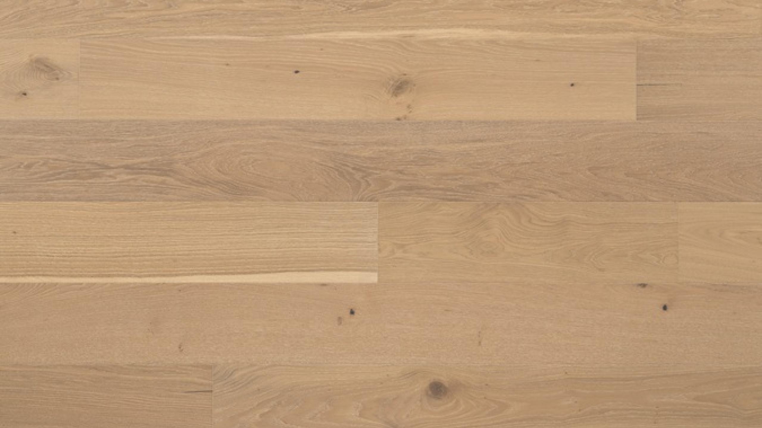 Abode by Kentwood Brushed Oak Shortbread — Engineered hardwood flooring selection with LeviArs Design & Remodeling
