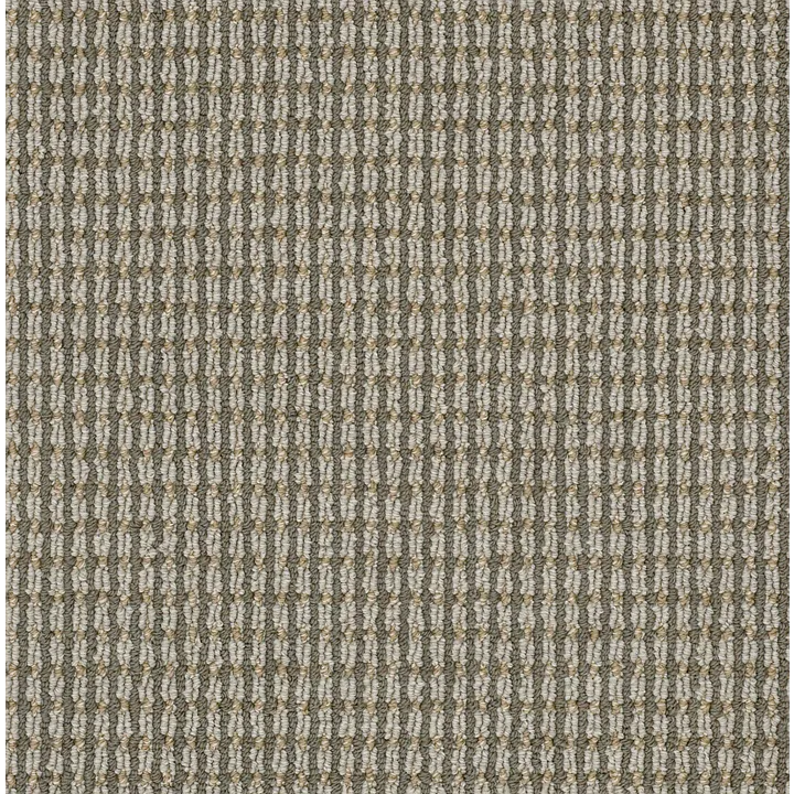 Anderson Tuftex Abbey'S Road — Boundless · ZZ013-00526 — flooring selection with LeviArs Design & Remodeling