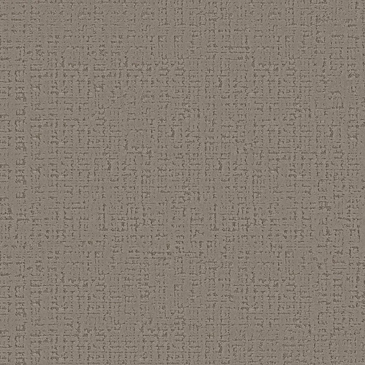 Anderson Tuftex Adair — Class Act · ZZ364-00503 — flooring selection with LeviArs Design & Remodeling