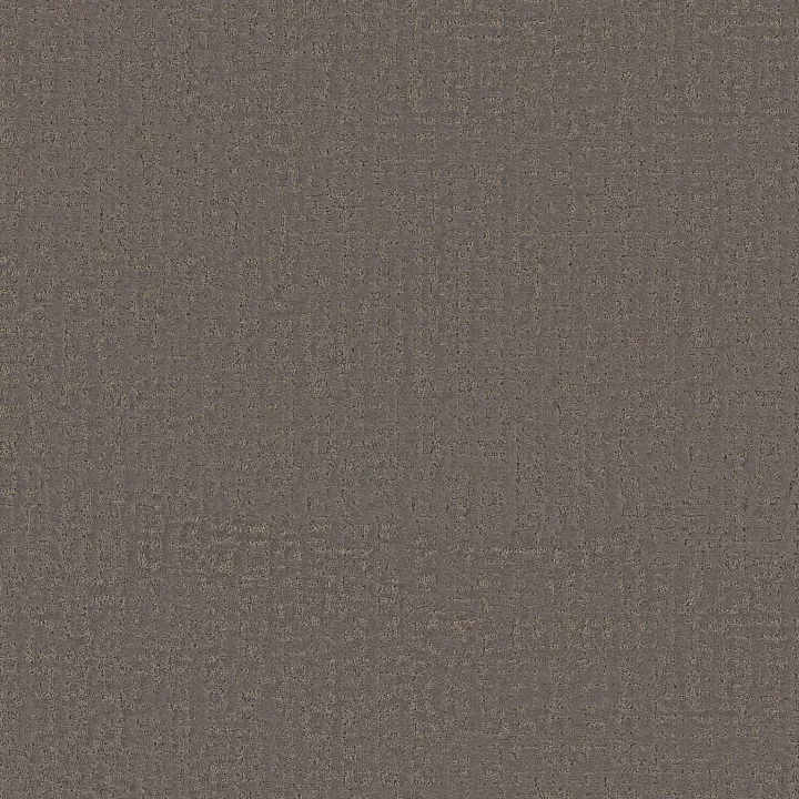 Anderson Tuftex Adair — Formal Affair · ZZ364-00505 — flooring selection with LeviArs Design & Remodeling