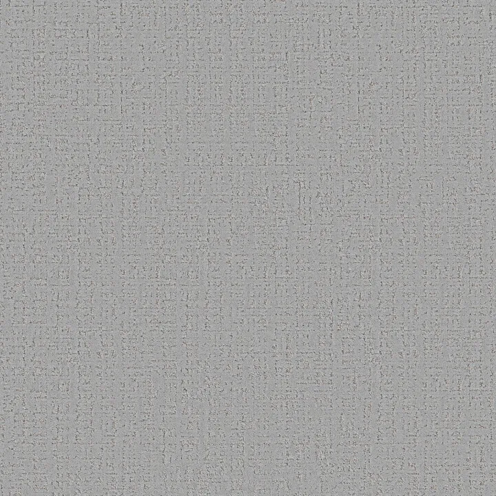 Anderson Tuftex Adair — Fountain Spray · ZZ364-00500 — flooring selection with LeviArs Design & Remodeling