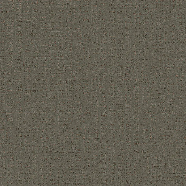 Anderson Tuftex Adair — Garden Party · ZZ364-00301 — flooring selection with LeviArs Design & Remodeling