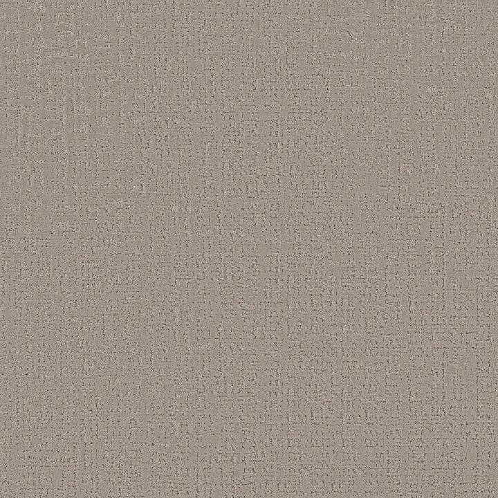 Anderson Tuftex Adair — Glass Of Bubbly · ZZ364-00103 — flooring selection with LeviArs Design & Remodeling