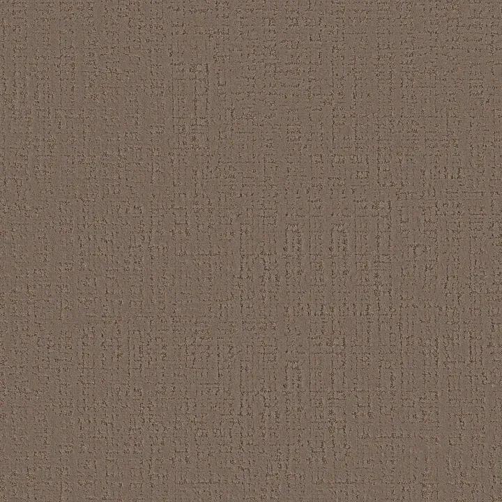 Anderson Tuftex Adair — Meet And Greet · ZZ364-00701 — flooring selection with LeviArs Design & Remodeling