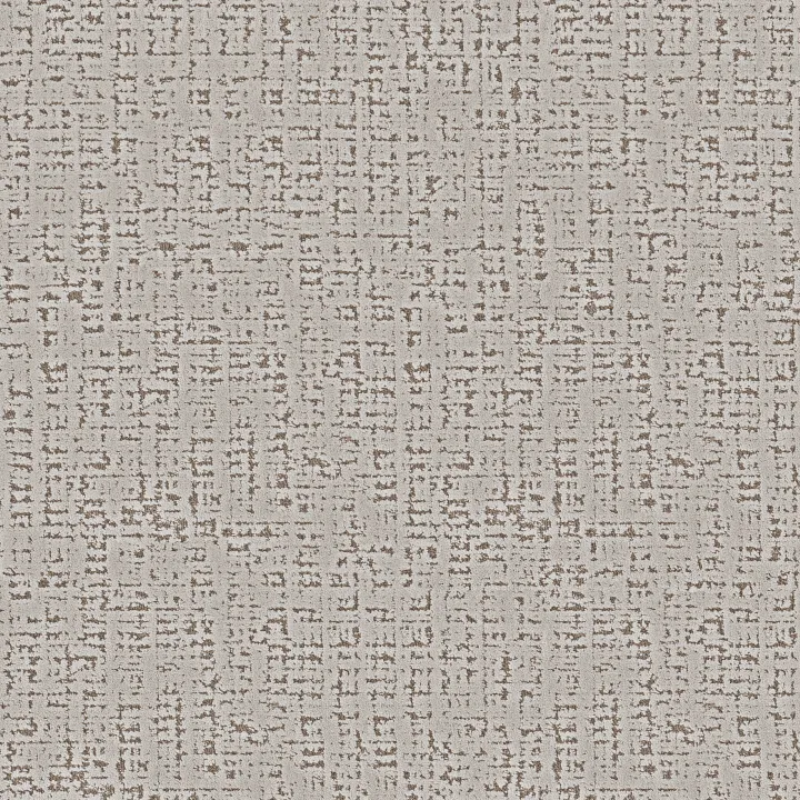 Anderson Tuftex Adair — Silver Fox · ZZ364-00501 — flooring selection with LeviArs Design & Remodeling