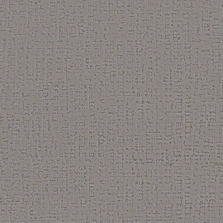 Anderson Tuftex Adair — Sports Car · ZZ364-00504 — flooring selection with LeviArs Design & Remodeling