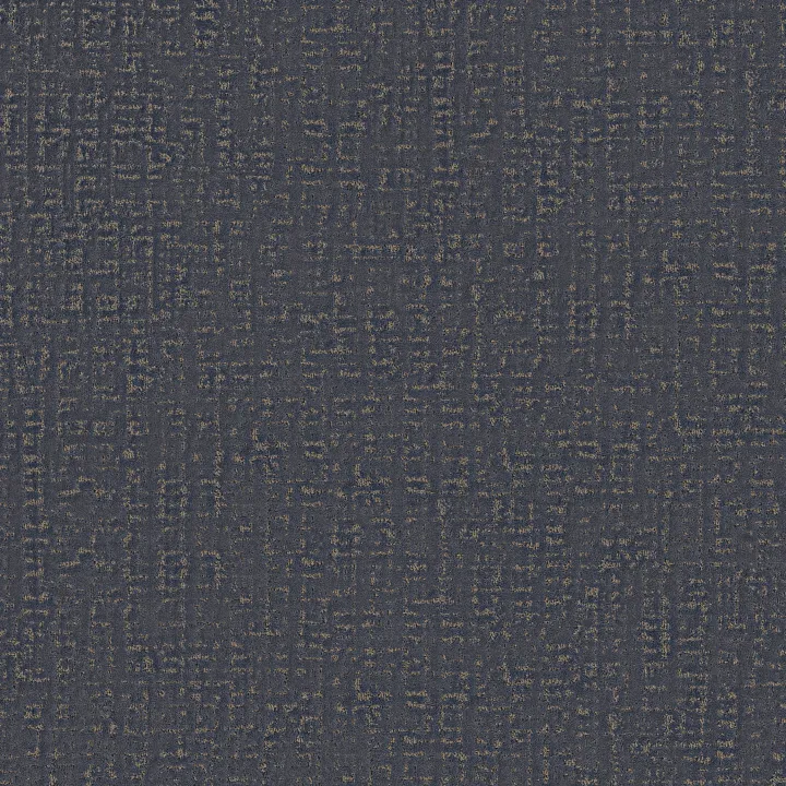 Anderson Tuftex Adair — Starry Sky · ZZ364-00400 — flooring selection with LeviArs Design & Remodeling